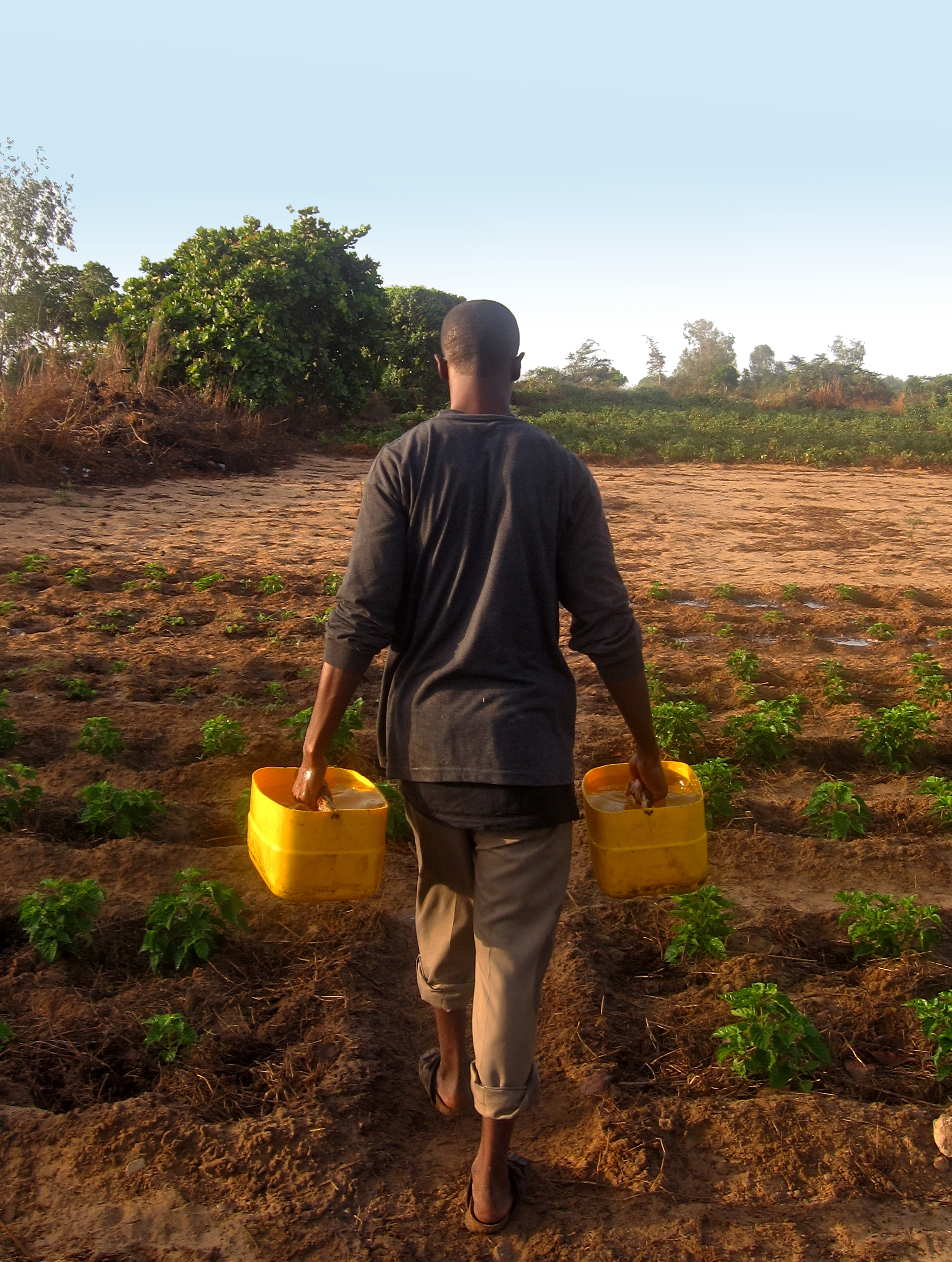 Mat Davis at a Senegal farm